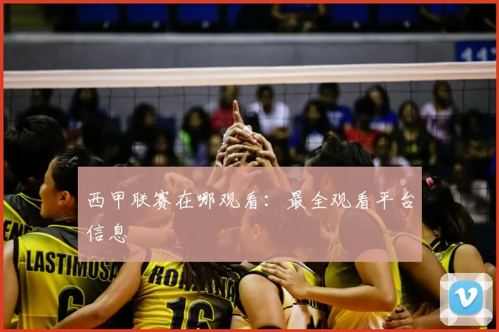 西甲联赛在哪观看：最全观看平台信息