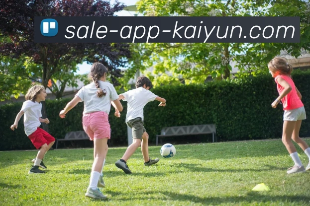 多媒体互动体验